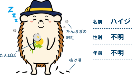 名前:ハイジ 性別:不明 年齢:不明